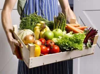 Перевозка овощей и фруктов: правильные условия транспортировки